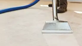 Carpet cleaning wand head gliding over a light carpet during hot-water extraction, Detroit, MI.