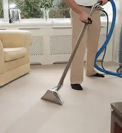 Professional carpet cleaner using a hot-water extraction wand and hose machine in a living room in Detroit, MI.