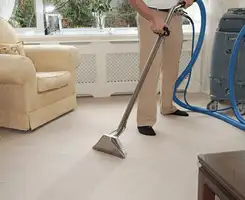 Carpet cleaning professional removing dirt and stains with a hot-water extraction tool in a home, Detroit, MI.