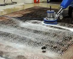 Professional rug cleaning with a rotary floor machine and shampoo foam, deep-cleaning an area rug, in Detroit, MI.