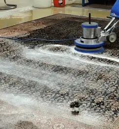 Professional rug cleaning with a rotary floor machine and shampoo foam, deep-cleaning an area rug Detroit, MI.